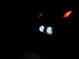fiat_barchetta19